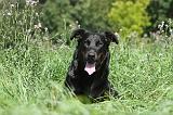 BEAUCERON 072